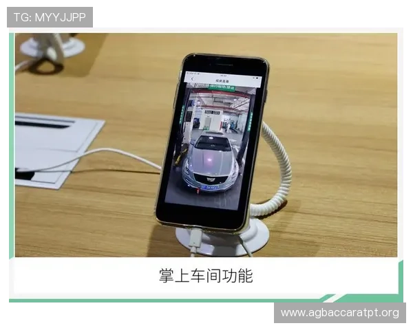 最新真人视讯官网app下载渠道,安全稳定的真人娱乐体验尽在指尖操作中