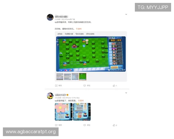 深入了解k8娱乐真人游戏的操作流程与规则,帮助新手快速上手畅玩无忧