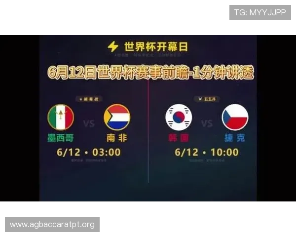 世界杯南非对阵韩国现场观看全攻略详解助你轻松享受比赛盛宴